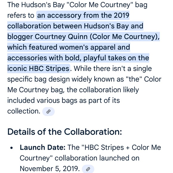 RARE NWT Hudson Bay Stripe Colour Me Courtney Bag Fanny Pack - Picture 9 of 9